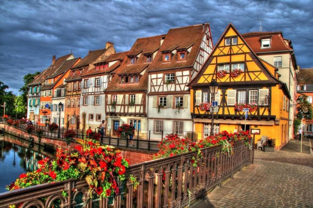 Appartement Climatise 70 M2, Proximite De Colmar Sainte-Croix-en-Plaine Экстерьер фото