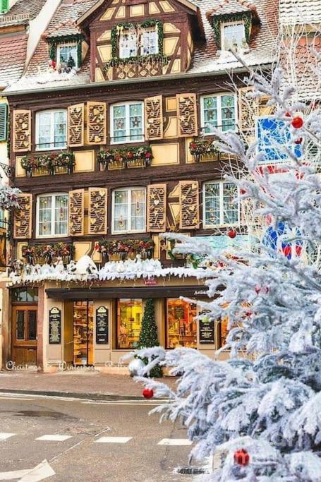 Appartement Climatise 70 M2, Proximite De Colmar Sainte-Croix-en-Plaine Экстерьер фото