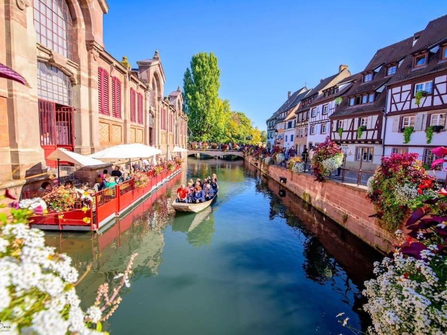 Appartement Climatise 70 M2, Proximite De Colmar Sainte-Croix-en-Plaine Экстерьер фото